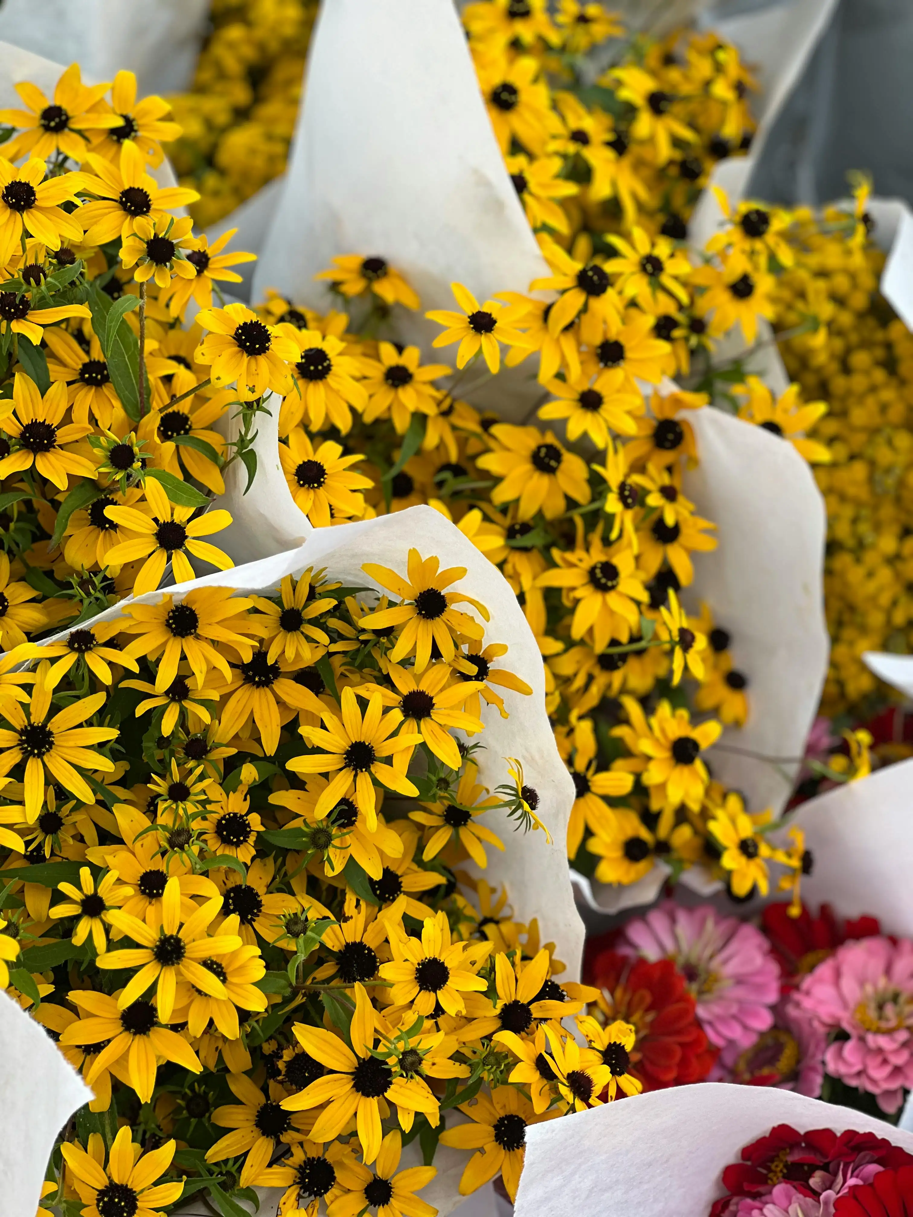 Australian market and local produce scene 6